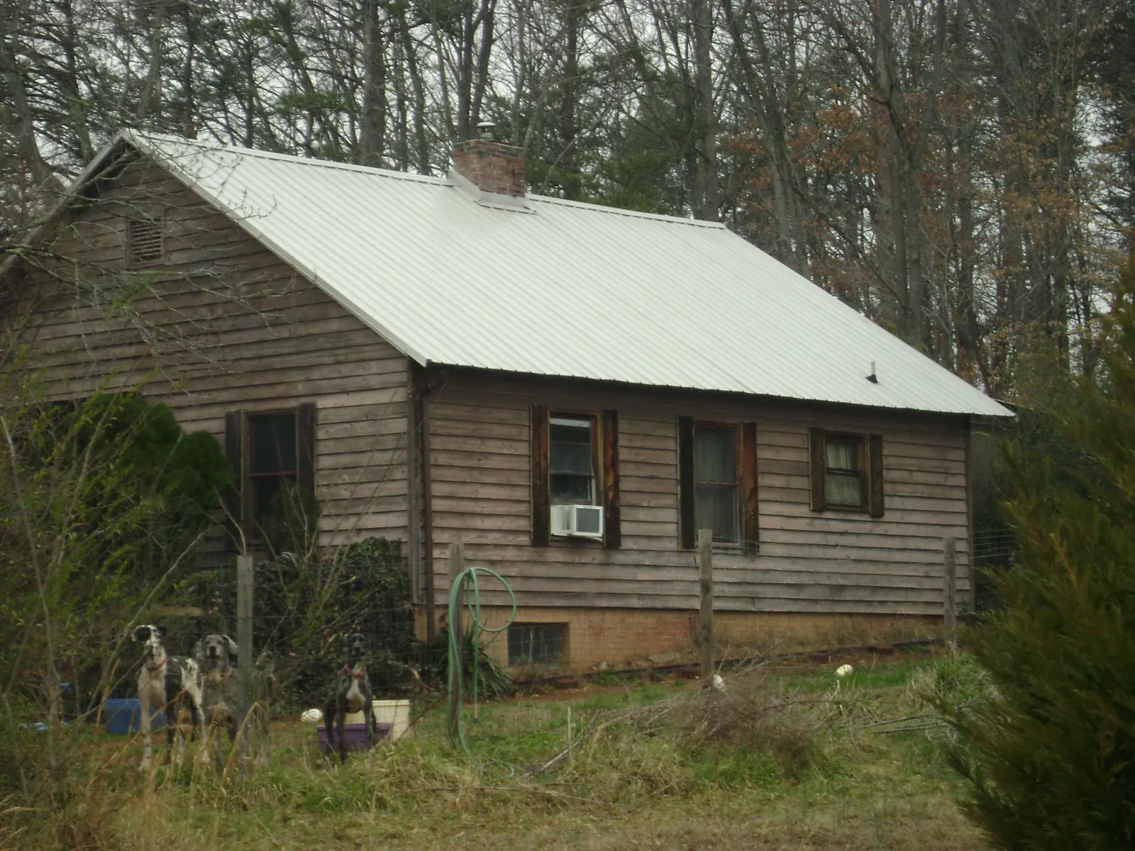 White metal roof on an old wood sided farmhouse, from a Asphalt Shingle Roof Repair job in Springvale